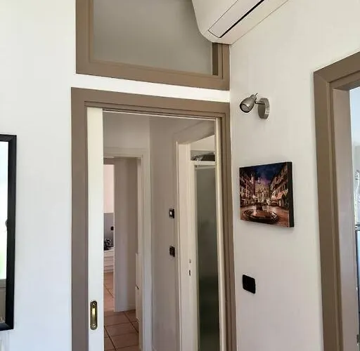 Dalla Simo Bussolengo